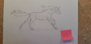 20200307 171209 - Edited.jpg