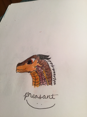 Pheasant.jpeg