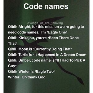 20969351 163657900863318 516396579561668608 n.jpg