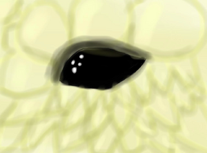 SandWing eye.jpg