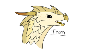 Thorn Ref.png