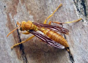 16614612600 d8bfe331e2 b.jpg