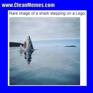 22sharklego1.png