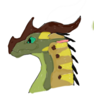 1c6c7a1f-9629-418d-b06f-1dfcda532c80 (1).png