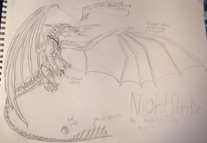 NightStrike the sea wing night wing hybrid.jpg