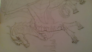 IMG 20180827 181712.jpg