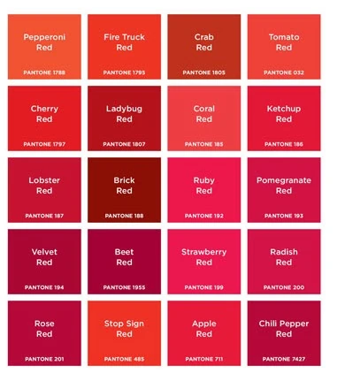 File:Pantone.jpg