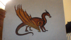 WIN 20150611 162212.JPG