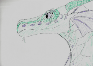 Sea-RainWing-Angelturtle-for Angelturtle(fixed resooution).png