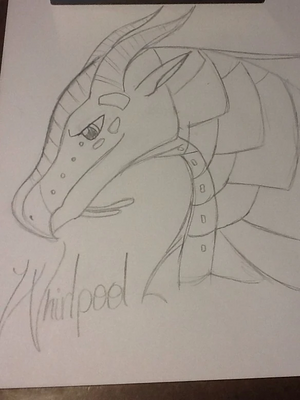 Whirlpool 1.jpg