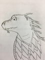 Drawing of Typhoon by his creator, Typhoonseawing
