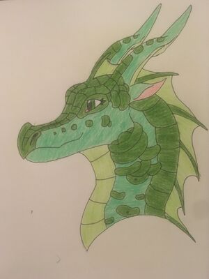 2019-07-29 20-36-06 904.jpg