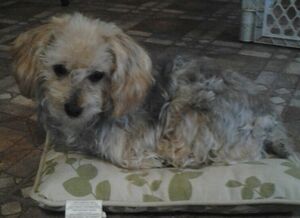 20200127 143848(1).jpg